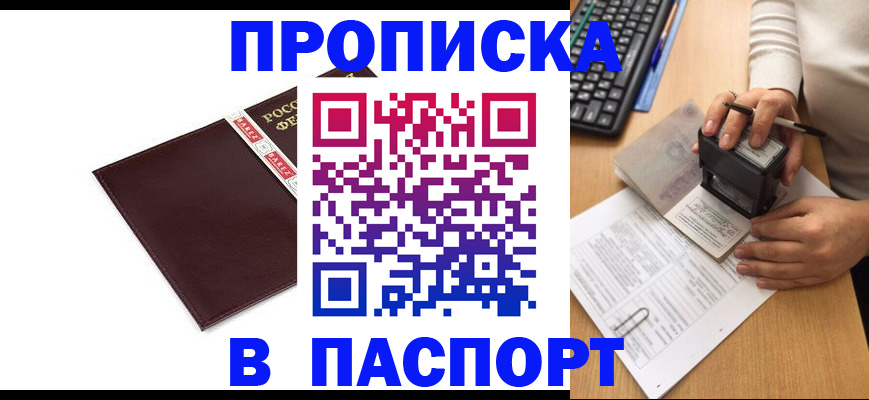 прописка 2025 в Камышине
